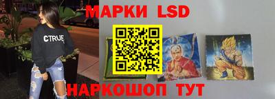 спайс Кингисепп