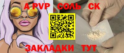 спайс Кингисепп