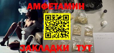 спайс Кингисепп