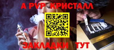 спайс Кингисепп