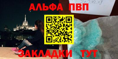 спайс Кингисепп