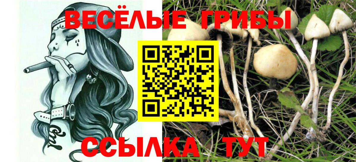 Псилоцибиновые грибы мухоморы Кропоткин