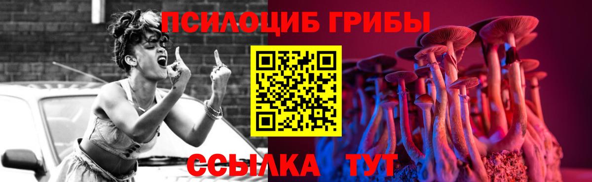Кропоткин  как найти наркотики  Вход с VPN  Галлюциногенные грибы GOLDEN TEACHER 